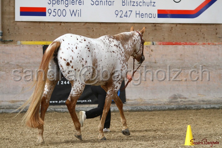 24-ApHC HIH_053.jpg